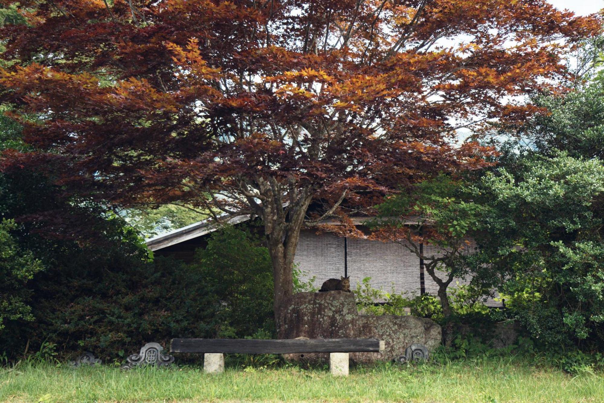 ホステル　結い庵 南木曽町 エクステリア 写真